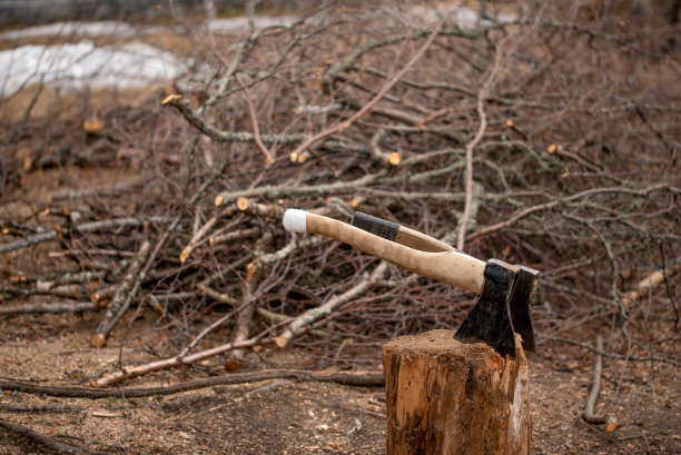 在院子里劈木柴用的两把斧头图片下载
