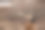 在院子里劈木柴用的两把斧头图片下载