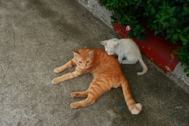 母亲和孩子图片下载