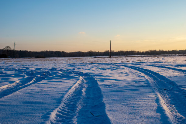 田野和森林在冬天被冰雪覆盖图片下载