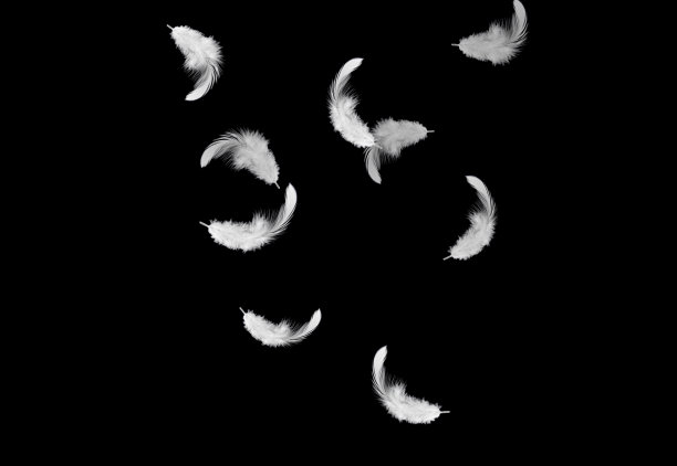 羽毛抽象背景图片下载