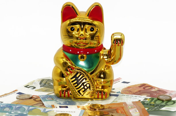 把猫和欧元钞票当作幸运的象征图片下载
