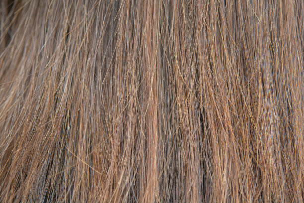 头发干燥受损图片下载