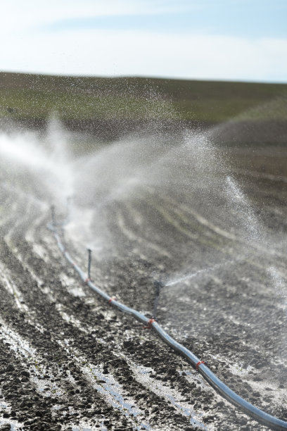 灌溉喷灌机在肥沃的农田上灌溉作物图片下载