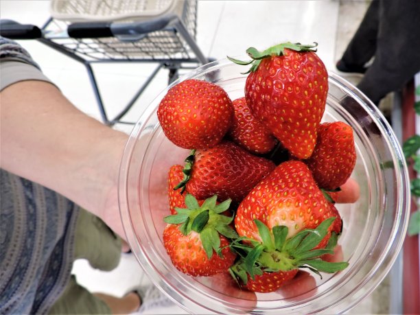 选择草莓。新鲜，美味，美丽。图片下载