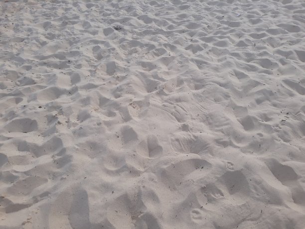 悉尼沙滩图片下载