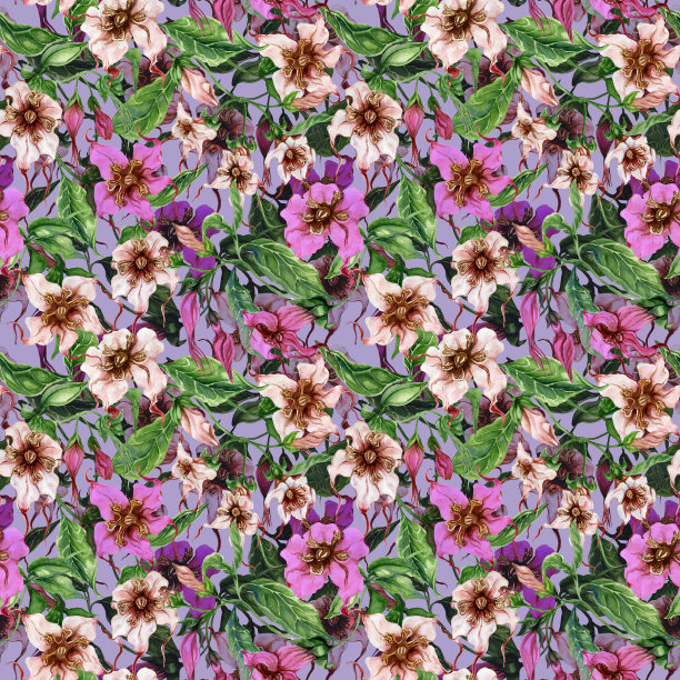 美丽的丝瓜花攀缘细枝上丁香的背景。无缝的花卉图案。水彩画。手绘植物插画。图片下载