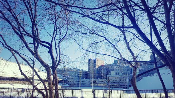 在积雪覆盖的足球场(图5)图片下载