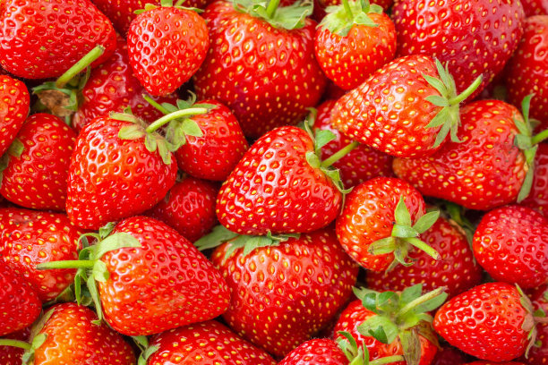 新鲜有机草莓水果背景俯视图特写图片下载