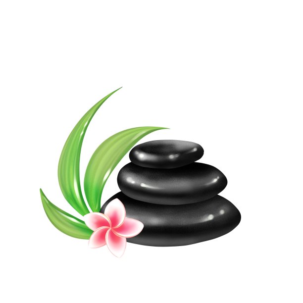 鸡蛋花和黑色禅宗石图片下载