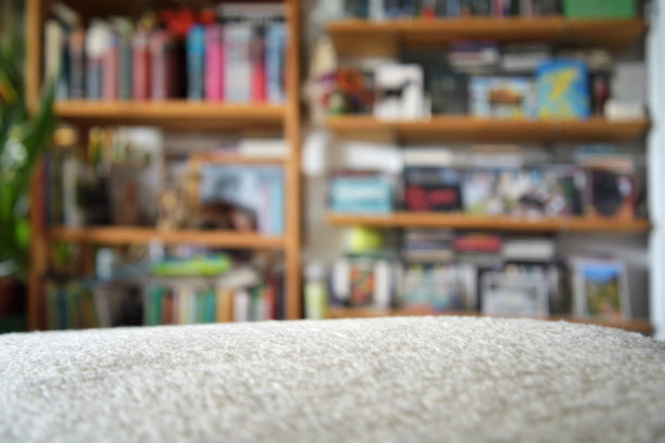 以书架为背景的沙发毯图片下载