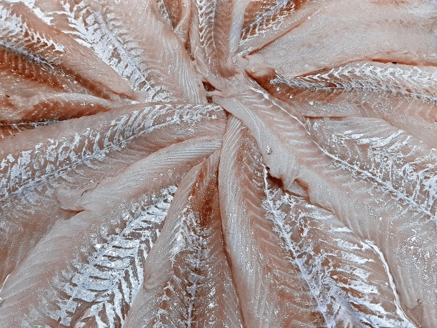 新鲜的鱼图片下载