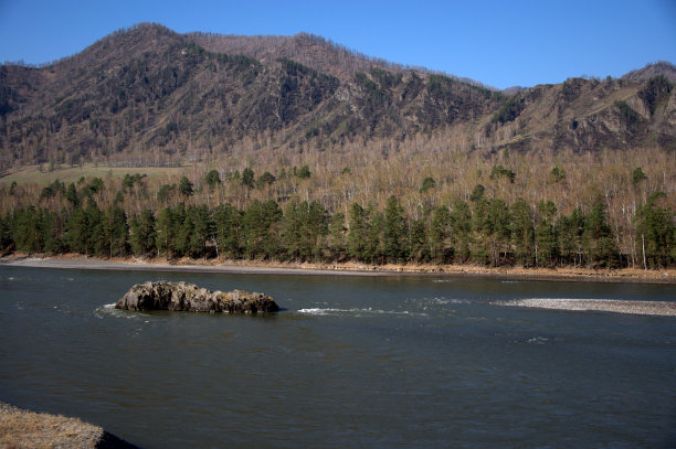 石岛位于河床中心的一条山河。阿尔泰、西伯利亚,俄罗斯。景观。图片下载