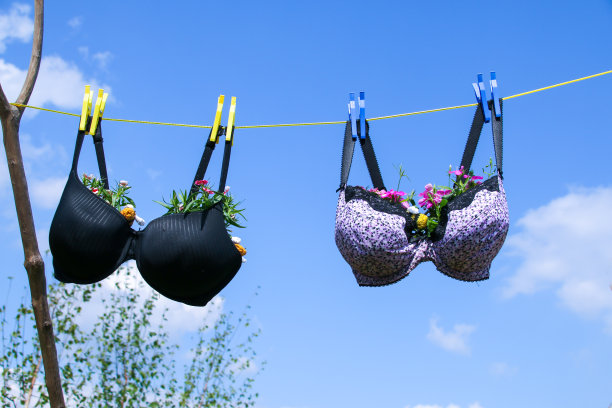 文胸挂在晾衣绳上，罩杯里种着植物图片下载
