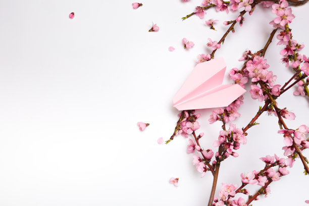 白底桃花，纸飞机。——图片图片下载