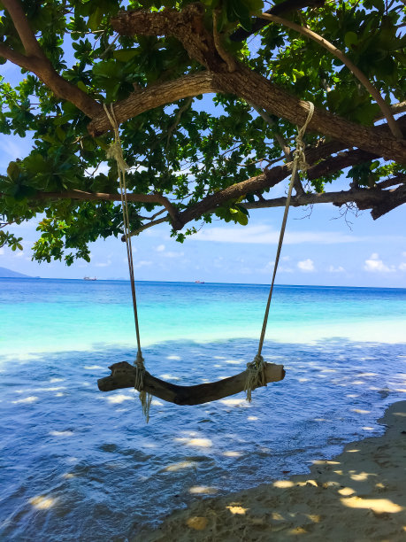 夏天的大海。这张照片是在泰国岛上的海边拍摄的。在这幅画中，有一根大树枝在下面的沙地上铺开阴影。有一棵树，有一棵高大，郁郁葱葱的绿色树在你的右手边图片下载