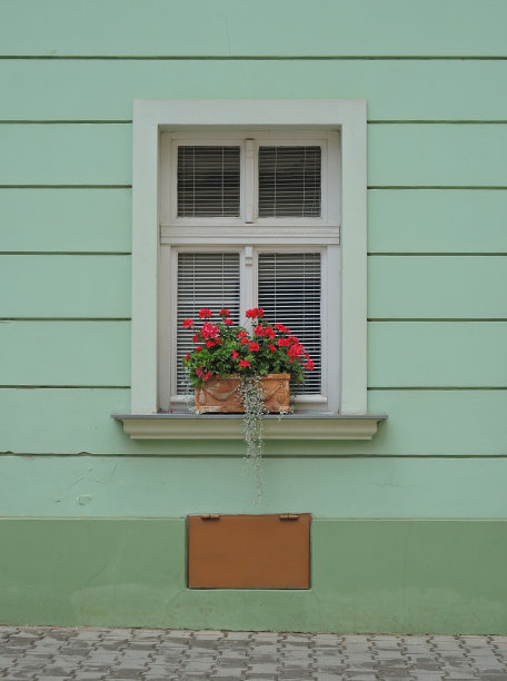 前面有花的窗户图片下载