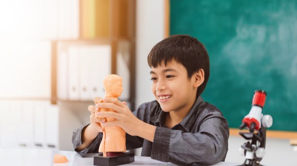 亚洲快乐学校男孩学习和玩身体器官模型和显微镜在黑板背景与复制空间。幼儿创新教育的学生理念。图片下载