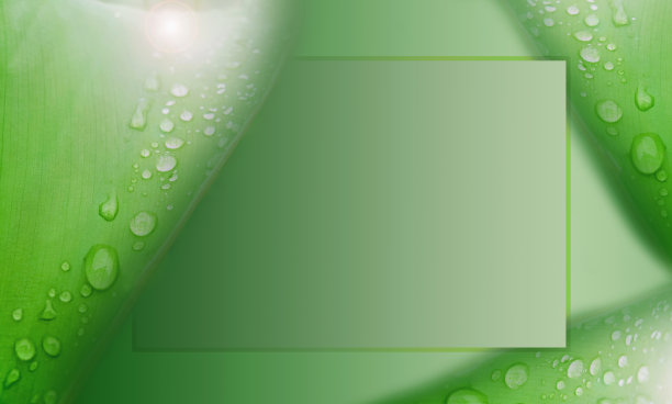 绿叶背景。绿叶和水滴。图片下载