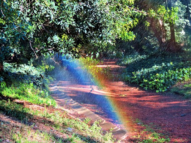 自然景观与彩虹。图片下载