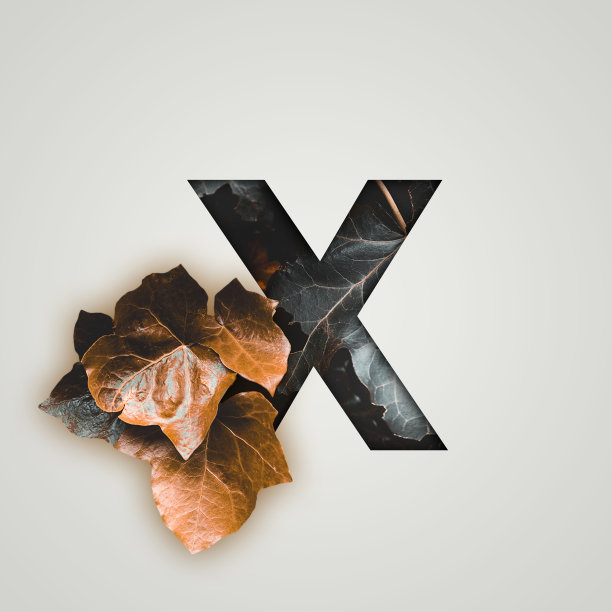 自然的概念。创意数字与彩色的叶子在灰色的背景。创意排版与秋叶。章节介绍，模板。10唐宁街十号。罗马数字日历。图片下载