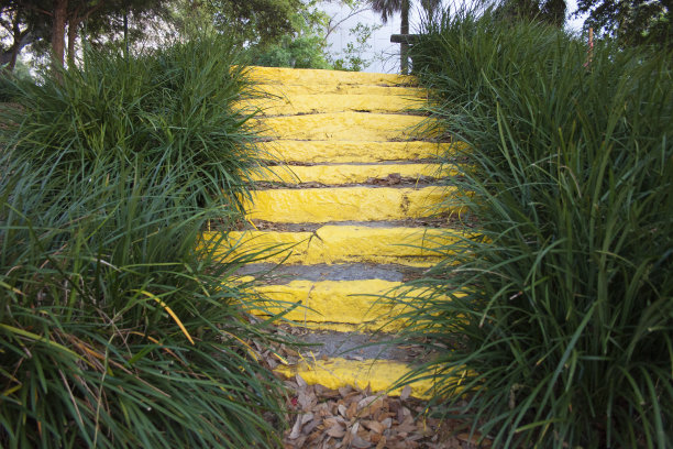 黄色的步骤图片下载