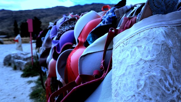 布拉篱笆， 新西兰图片下载