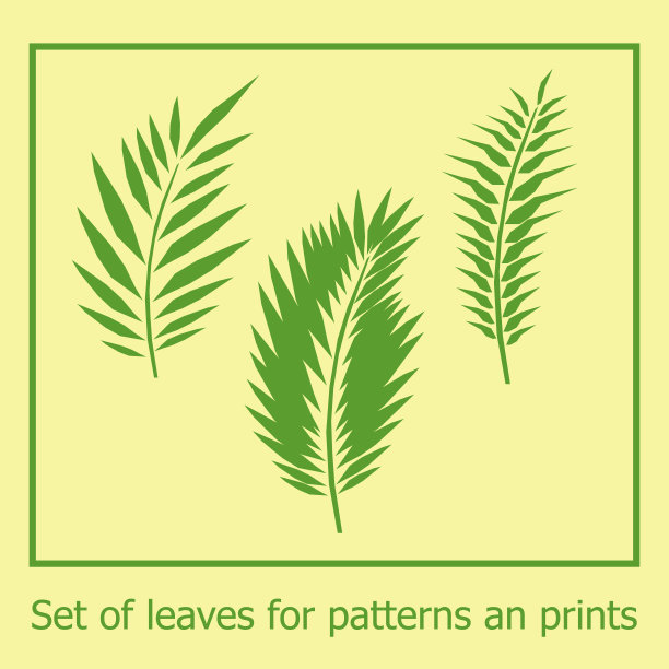 一套丛林树叶的图案和印花。带有剪纸效果的热带外来叶向量绿色。夏季设置为背景，壁纸，织物，印刷品，卡片，包装。图片下载