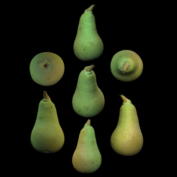 长梨水果黑色背景多角度3d渲染图片下载