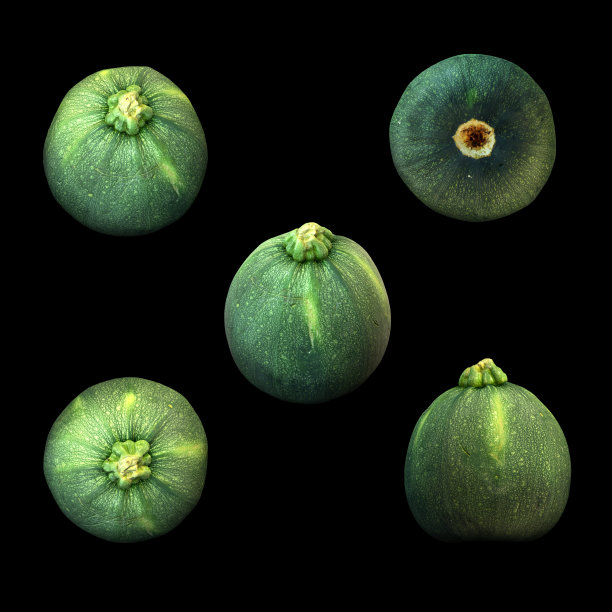 圆形西葫芦黑色背景多角度3d渲染图片下载
