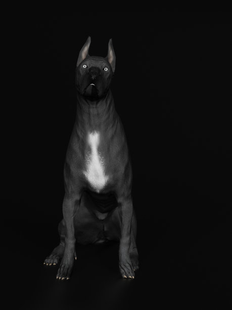 大丹狗看稍向上而坐3d渲染图片下载