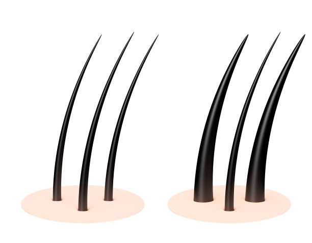 人的头皮。图片下载