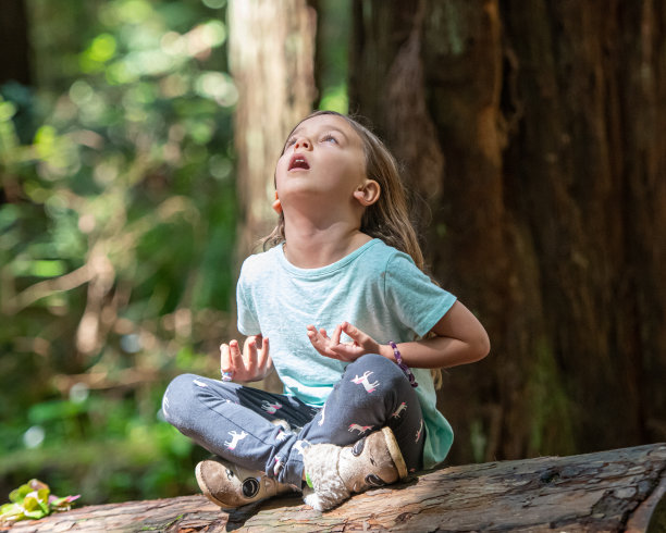 一个小女孩在树林里抬头看图片下载