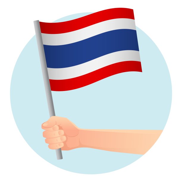 手里拿着国旗图片下载