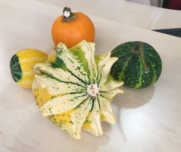 群的南瓜图片下载