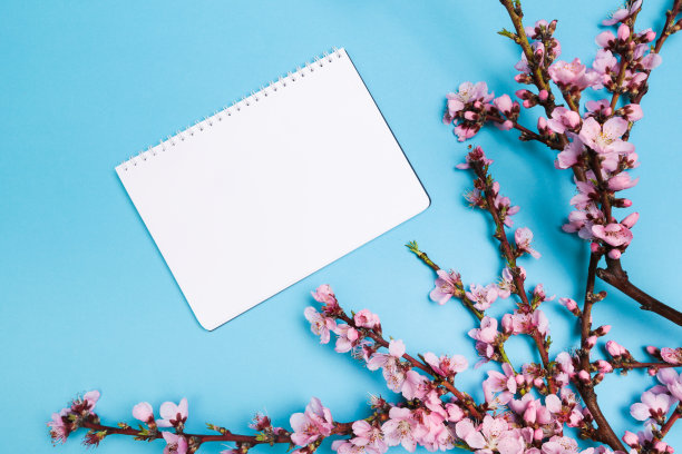模拟笔记本和杏树的小枝与花在柔和的颜色的背景。文本。春天的概念来了，复活节快乐，母亲节。前视图。剥。副本的空间。图片下载