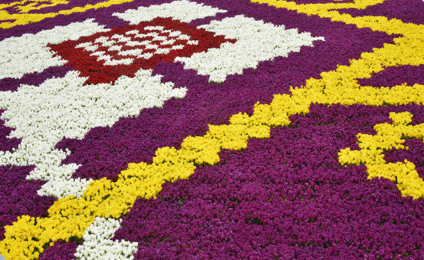 五颜六色的插花与各种各样的郁金香图片下载