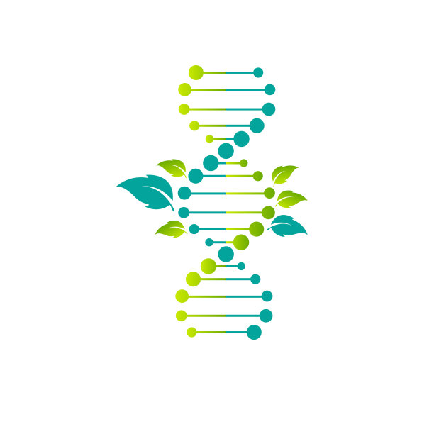 05-DNA载体绿叶图片下载