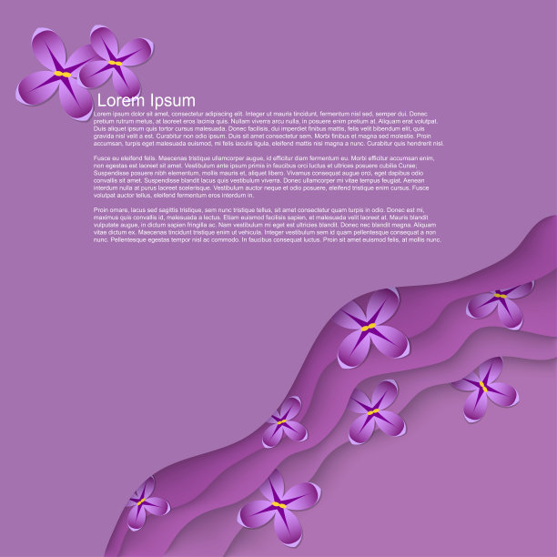 春天的紫色背景方形图片下载