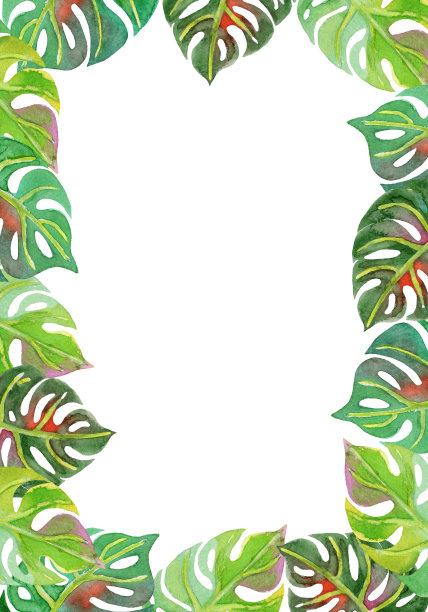 水彩框架热带树叶和树枝在白色的背景。图片下载