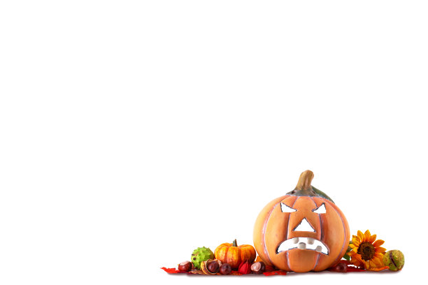 秋季装饰的彩色南瓜万圣节南瓜和树叶在白色的背景与复制空间图片下载