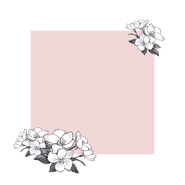 手绘苹果花在粉红色的背景。图片下载