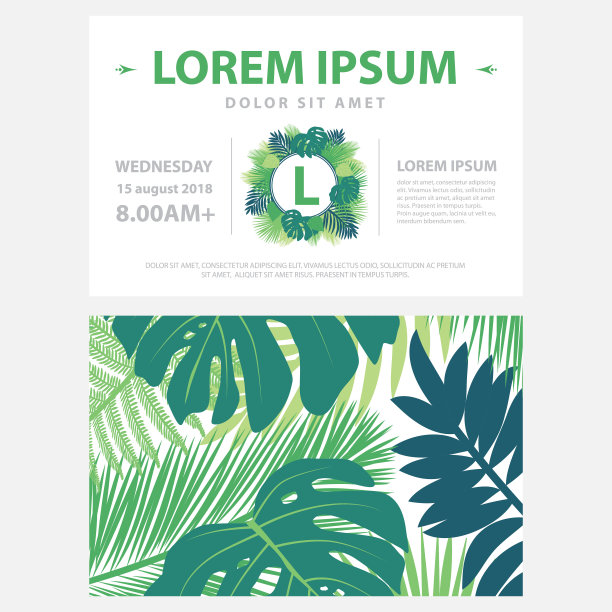 棕榈树的叶子图片下载