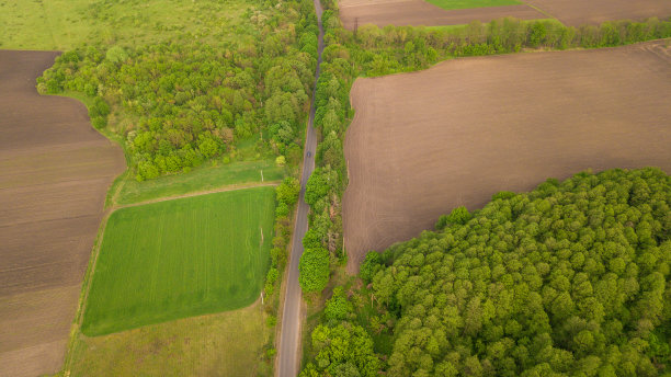 河流和田野俯视图。无人机拍摄的照片。农业城的美丽景色。春天。绿色的田野图片下载