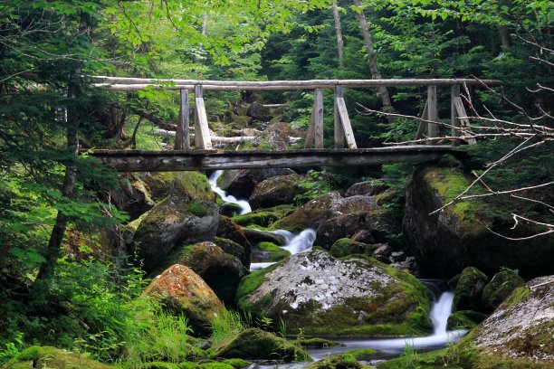 桥梁提供路径图片下载