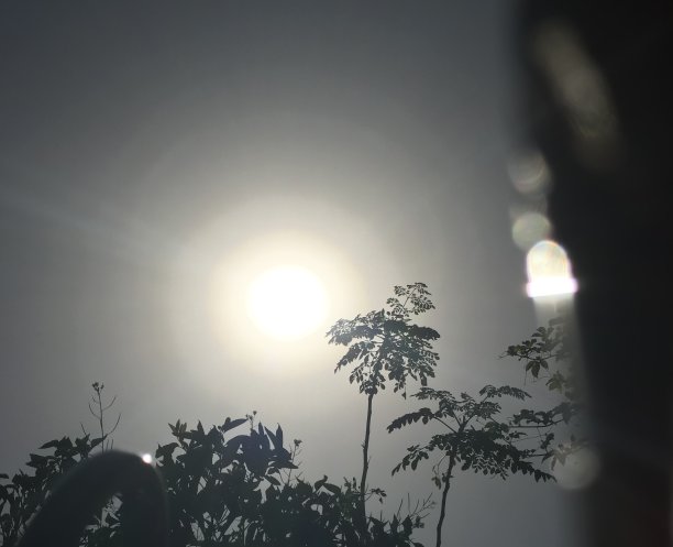 日落的观点图片下载