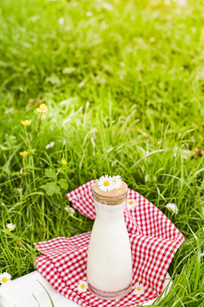 一瓶牛奶在绿色的草地上。健康饮食的环保产品。复制空间，阳光和照片效果。图片下载