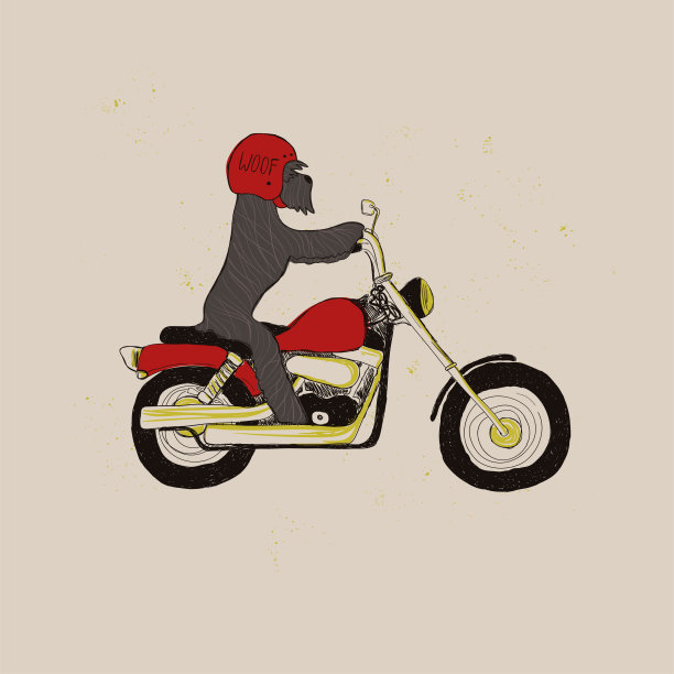 搞笑雪纳瑞狗骑摩托车图片下载