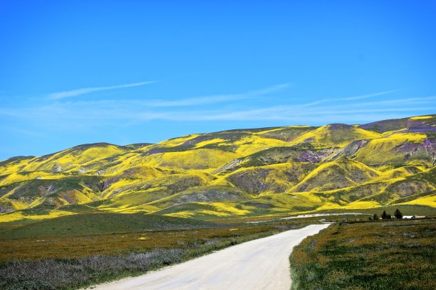 全景路图片下载