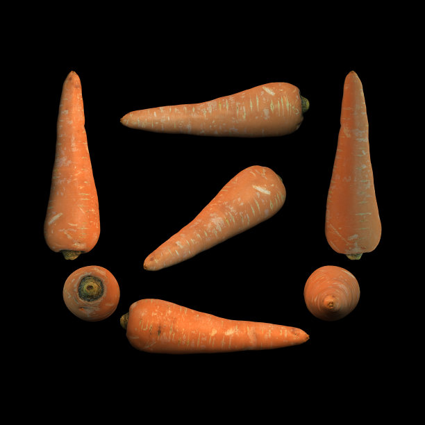 短胡萝卜黑背景多角度3d渲染图片下载